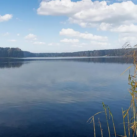 Amazing In With View * Wilcze (Greater Poland)