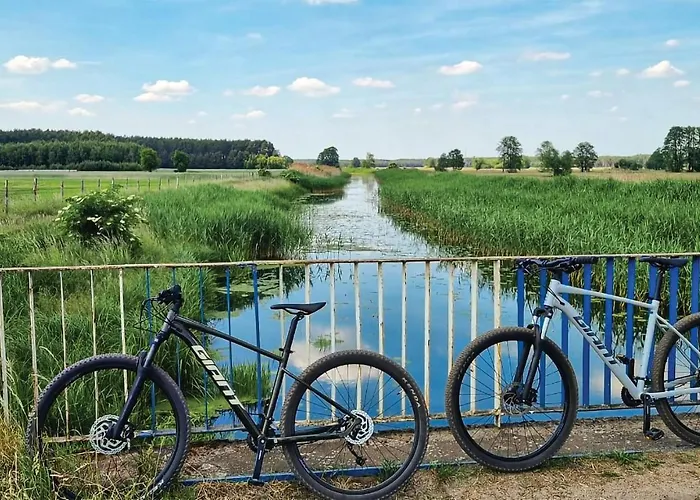 בית נופש In With Wifi Wilcze (Greater Poland)