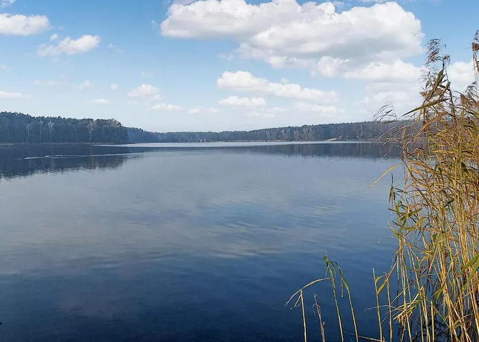 In With Wifi * Wilcze (Greater Poland)